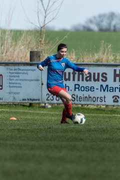 Bild 18 - C-Juniorinnen SV Steinhorst/Labenz - TSV Friedrichsberg-Busdorf : Ergebnis: 5:0